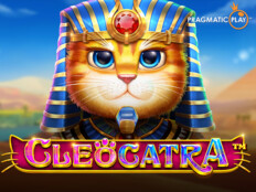 Cats casino. Bahisbudur online casino.78